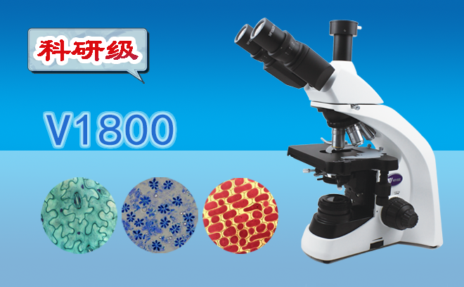 科研级三目生物显微镜V1800