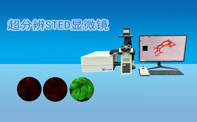 超分辨STED显微镜.jpg