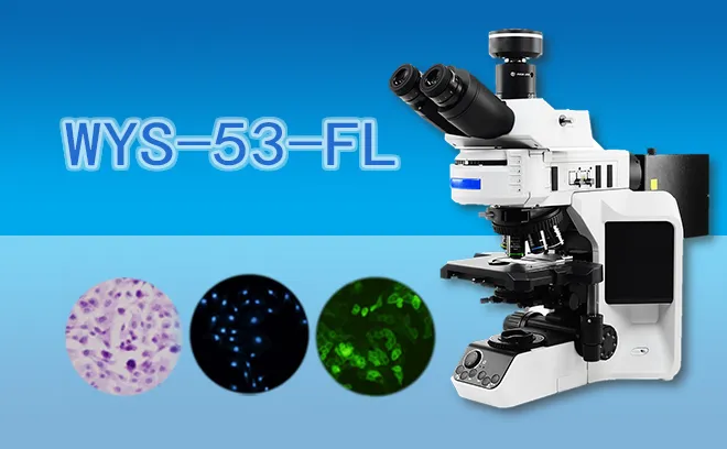 荧光显微镜WYS-53-FL